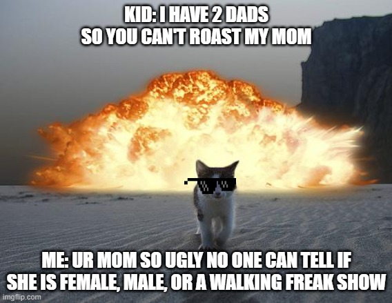 can't touch dis | KID: I HAVE 2 DADS SO YOU CAN'T ROAST MY MOM; ME: UR MOM SO UGLY NO ONE CAN TELL IF SHE IS FEMALE, MALE, OR A WALKING FREAK SHOW | image tagged in cat explosion,roasted | made w/ Imgflip meme maker