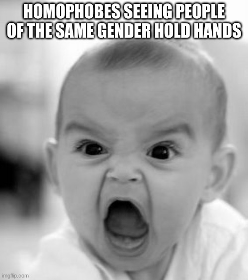 Angry Baby Meme | HOMOPHOBES SEEING PEOPLE OF THE SAME GENDER HOLD HANDS | image tagged in memes,angry baby | made w/ Imgflip meme maker