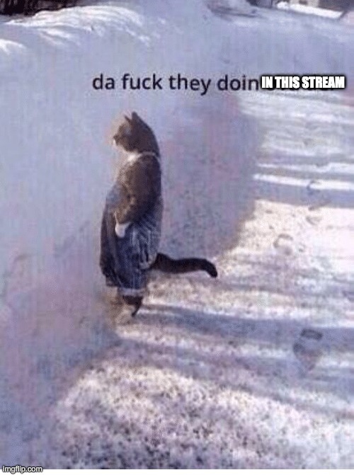 Da fuq they doing over there | IN THIS STREAM | image tagged in da fuq they doing over there | made w/ Imgflip meme maker