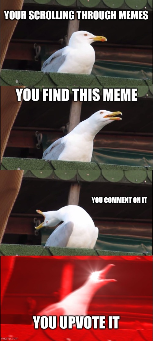 This is funny I hope | YOUR SCROLLING THROUGH MEMES; YOU FIND THIS MEME; YOU COMMENT ON IT; YOU UPVOTE IT | image tagged in memes,inhaling seagull | made w/ Imgflip meme maker