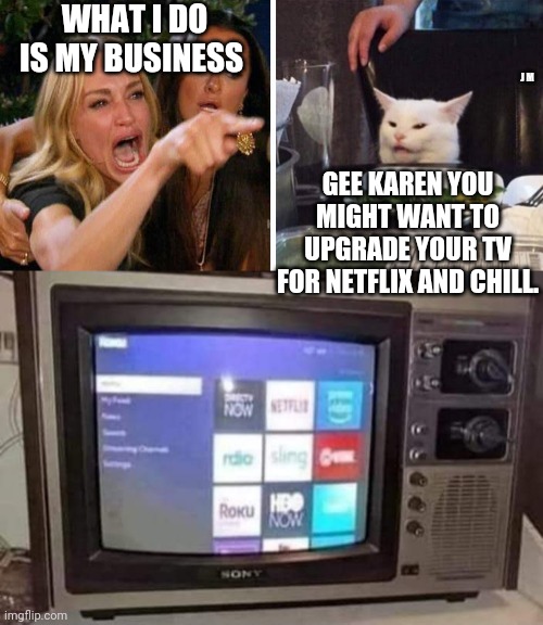 WHAT I DO IS MY BUSINESS; J M; GEE KAREN YOU MIGHT WANT TO UPGRADE YOUR TV FOR NETFLIX AND CHILL. | image tagged in smudge the cat | made w/ Imgflip meme maker