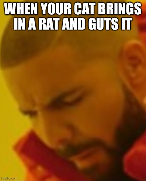 WHEN YOUR CAT BRINGS IN A RAT AND GUTS IT | made w/ Imgflip meme maker