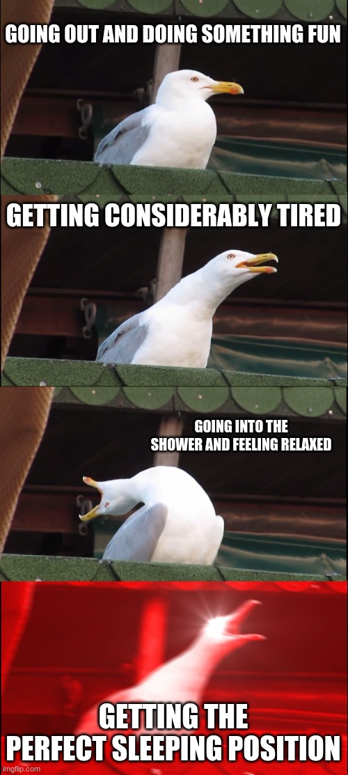 Ahhhh, the perfect combo | GOING OUT AND DOING SOMETHING FUN; GETTING CONSIDERABLY TIRED; GOING INTO THE SHOWER AND FEELING RELAXED; GETTING THE PERFECT SLEEPING POSITION | image tagged in memes,inhaling seagull,sleep,relaxing | made w/ Imgflip meme maker