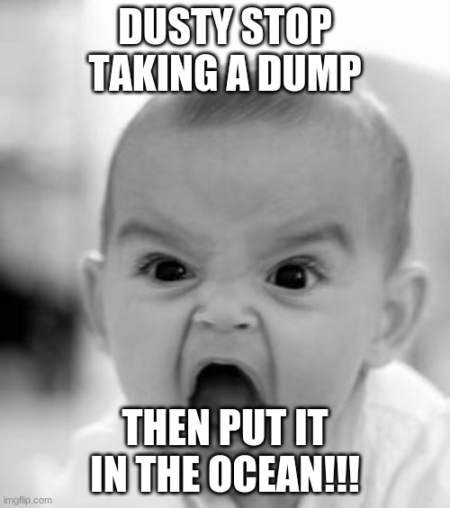 flush | DUSTY STOP TAKING A DUMP; THEN PUT IT IN THE OCEAN!!! | image tagged in memes,angry baby | made w/ Imgflip meme maker