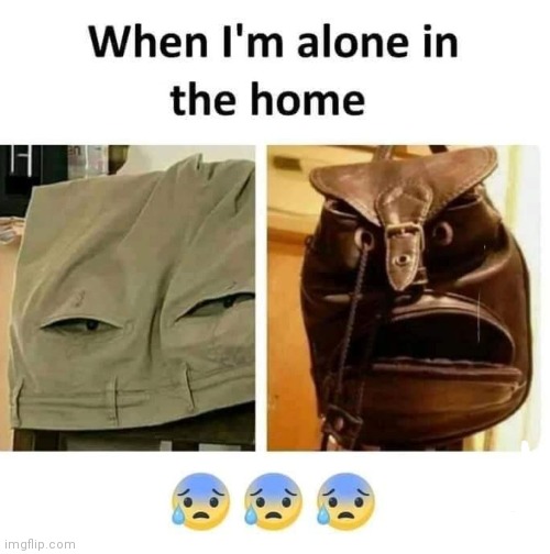 When I'm alone in the home | image tagged in home,funny,funny memes,fun,memes,meme | made w/ Imgflip meme maker