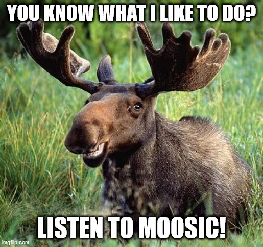 pun | YOU KNOW WHAT I LIKE TO DO? LISTEN TO MOOSIC! | image tagged in smiling moose | made w/ Imgflip meme maker