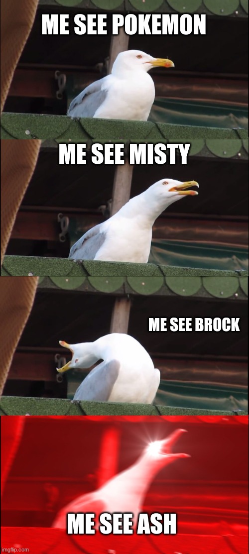 Inhaling Seagull | ME SEE POKEMON; ME SEE MISTY; ME SEE BROCK; ME SEE ASH | image tagged in memes,inhaling seagull | made w/ Imgflip meme maker
