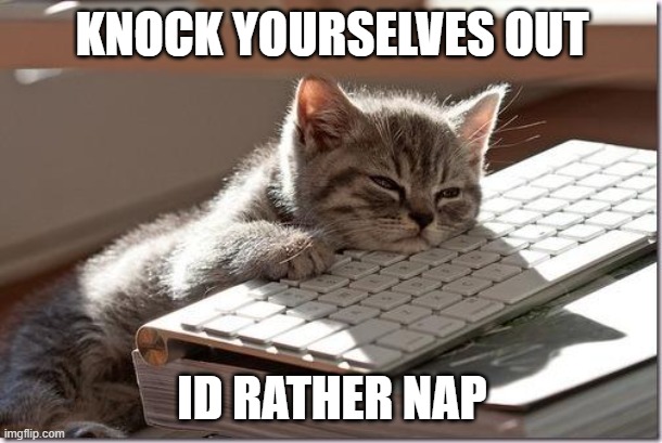 Bored Keyboard Cat | KNOCK YOURSELVES OUT ID RATHER NAP | image tagged in bored keyboard cat | made w/ Imgflip meme maker