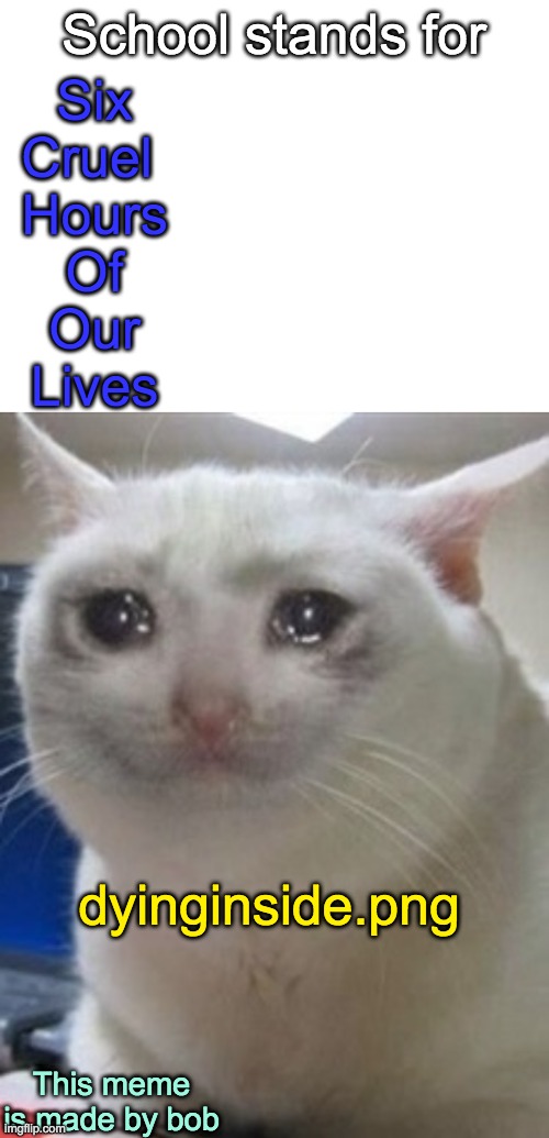 Thats true | School stands for; helpmepls.png; Six
Cruel 
Hours
Of
Our
Lives; dyinginside.png; This meme is made by bob | image tagged in blank white template,crying cat,im dying inside | made w/ Imgflip meme maker