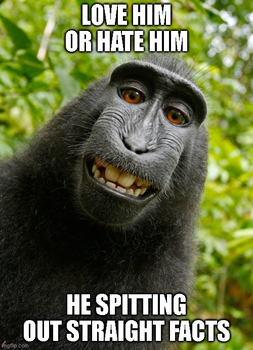 monkE | LOVE HIM OR HATE HIM; HE SPITTING OUT STRAIGHT FACTS | image tagged in funny monkey | made w/ Imgflip meme maker