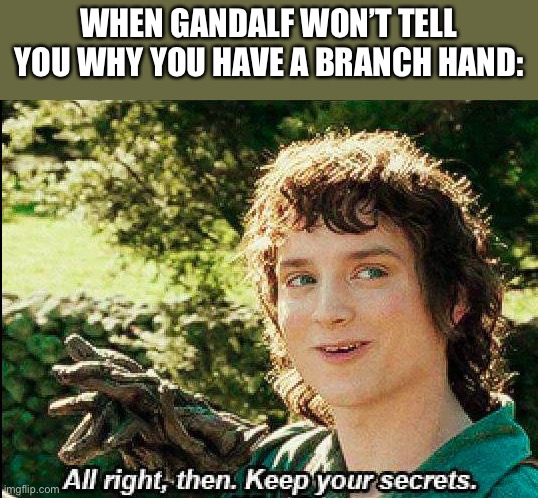 What? | WHEN GANDALF WON’T TELL YOU WHY YOU HAVE A BRANCH HAND: | image tagged in keep your secrets,memes,no upvotes | made w/ Imgflip meme maker