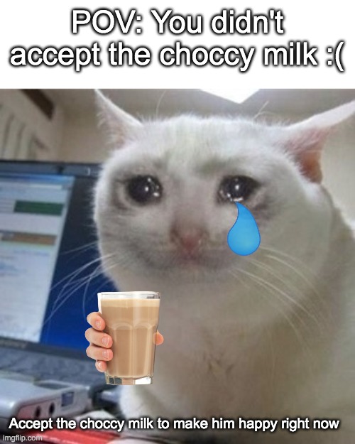 Why didnt  you accept the choccy milk...? | POV: You didn't accept the choccy milk :(; Accept the choccy milk to make him happy right now | image tagged in crying cat,sad cat,choccy milk,memes,sad | made w/ Imgflip meme maker