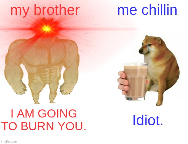 my brother; me chillin; I AM GOING TO BURN YOU. Idiot. | image tagged in who would win | made w/ Imgflip meme maker