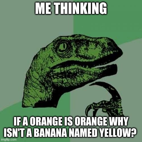 wait.... | ME THINKING; IF A ORANGE IS ORANGE WHY ISN'T A BANANA NAMED YELLOW? | image tagged in memes,philosoraptor | made w/ Imgflip meme maker