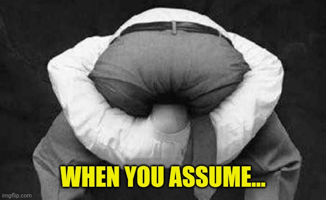 Head up ass  | WHEN YOU ASSUME... | image tagged in head up ass | made w/ Imgflip meme maker