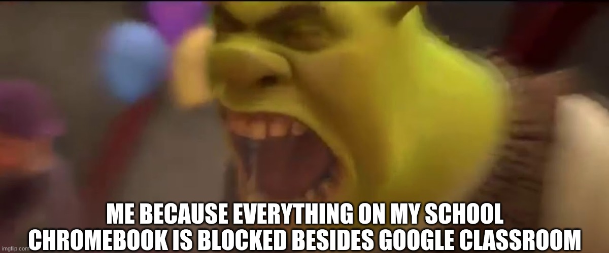 ME BECAUSE EVERYTHING ON MY SCHOOL CHROMEBOOK IS BLOCKED BESIDES GOOGLE CLASSROOM | image tagged in shrek screaming | made w/ Imgflip meme maker