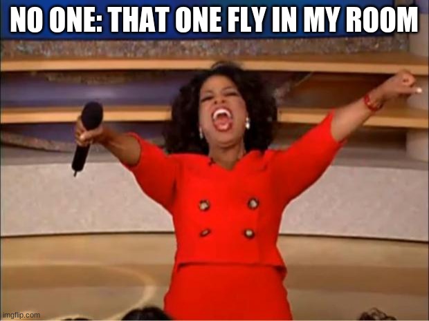 that one fly in my room at 3am | NO ONE: THAT ONE FLY IN MY ROOM | image tagged in memes,oprah you get a | made w/ Imgflip meme maker