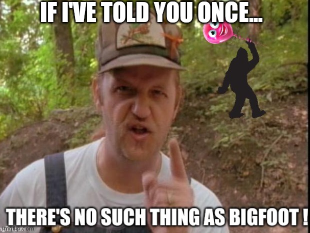 A Walk in the Woods |  IF I'VE TOLD YOU ONCE... | image tagged in woods,walking,big foot,big foot lives,funny,funny memes | made w/ Imgflip meme maker