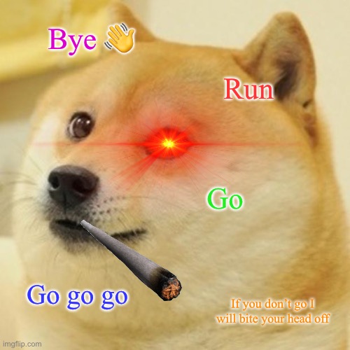 Doge Meme | Bye 👋; Run; Go; Go go go; If you don’t go I will bite your head off | image tagged in memes,doge | made w/ Imgflip meme maker