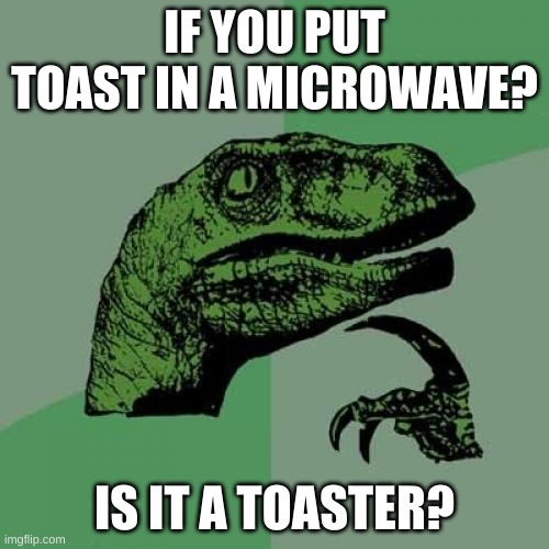 Philosoraptor Meme | IF YOU PUT TOAST IN A MICROWAVE? IS IT A TOASTER? | image tagged in memes,philosoraptor | made w/ Imgflip meme maker