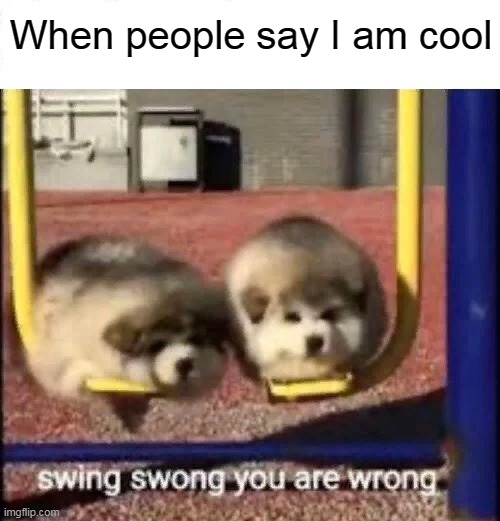 I am bad | When people say I am cool | image tagged in swing swong you are wrong | made w/ Imgflip meme maker