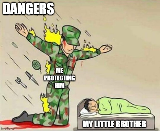 here take this wholesome meme | DANGERS; ME PROTECTING HIM; MY LITTLE BROTHER | image tagged in soldier protecting sleeping child | made w/ Imgflip meme maker