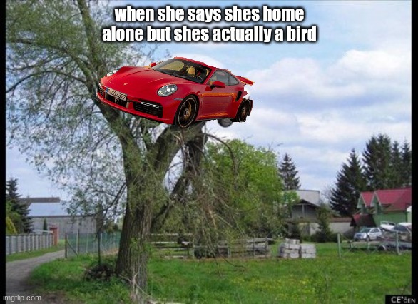 Thats me | when she says shes home alone but shes actually a bird | made w/ Imgflip meme maker