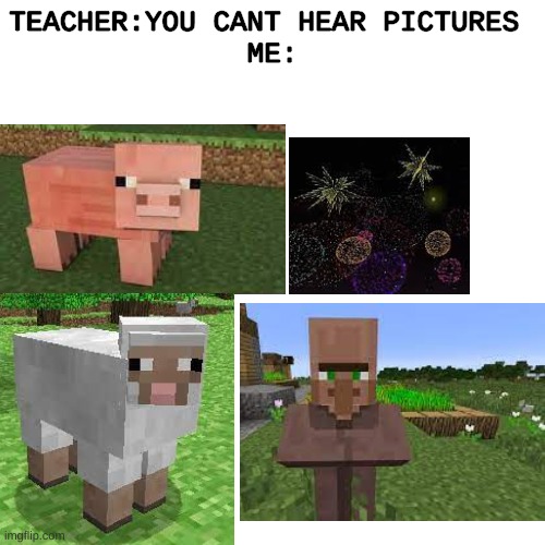 sound go E | TEACHER:YOU CANT HEAR PICTURES 
ME: | image tagged in memes,blank transparent square,minecraft,sound | made w/ Imgflip meme maker
