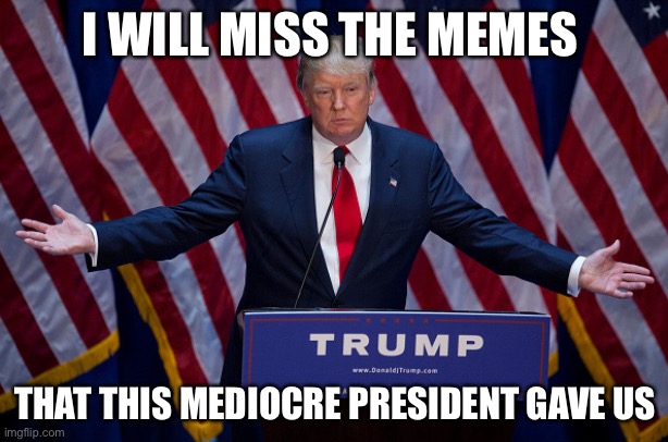 I will remember you | I WILL MISS THE MEMES; THAT THIS MEDIOCRE PRESIDENT GAVE US | image tagged in donald trump | made w/ Imgflip meme maker