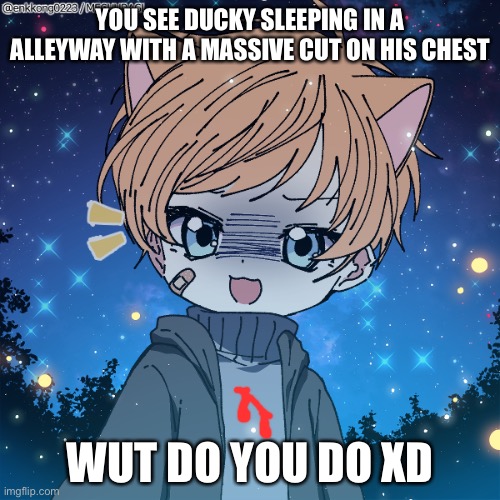 XD that cut tho lol | YOU SEE DUCKY SLEEPING IN A ALLEYWAY WITH A MASSIVE CUT ON HIS CHEST; WUT DO YOU DO XD | made w/ Imgflip meme maker