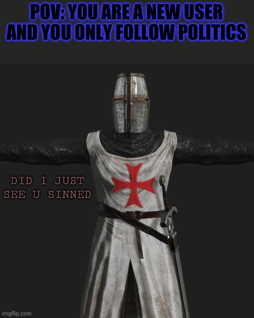 E | POV: YOU ARE A NEW USER AND YOU ONLY FOLLOW POLITICS; DID I JUST SEE U SINNED | image tagged in t posing crusader,pov,politics,crusader | made w/ Imgflip meme maker