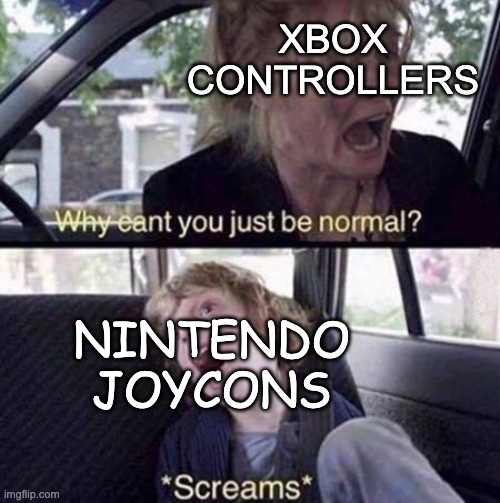xyab | XBOX CONTROLLERS; NINTENDO JOYCONS | image tagged in why can't you just be normal | made w/ Imgflip meme maker