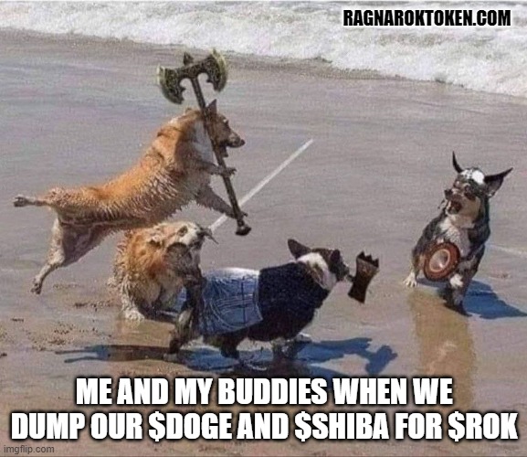 Ragnarok Token | RAGNAROKTOKEN.COM; ME AND MY BUDDIES WHEN WE DUMP OUR $DOGE AND $SHIBA FOR $ROK | image tagged in cryptocurrency,doge,dogecoin,bitcoin,altcoin | made w/ Imgflip meme maker