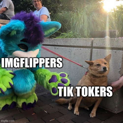 Dog afraid of furry | IMGFLIPPERS TIK TOKERS | image tagged in dog afraid of furry | made w/ Imgflip meme maker