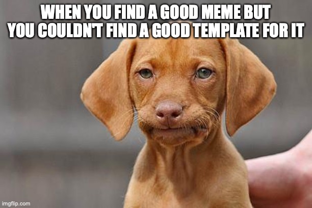 Dissapointed puppy | WHEN YOU FIND A GOOD MEME BUT YOU COULDN'T FIND A GOOD TEMPLATE FOR IT | image tagged in dissapointed puppy | made w/ Imgflip meme maker