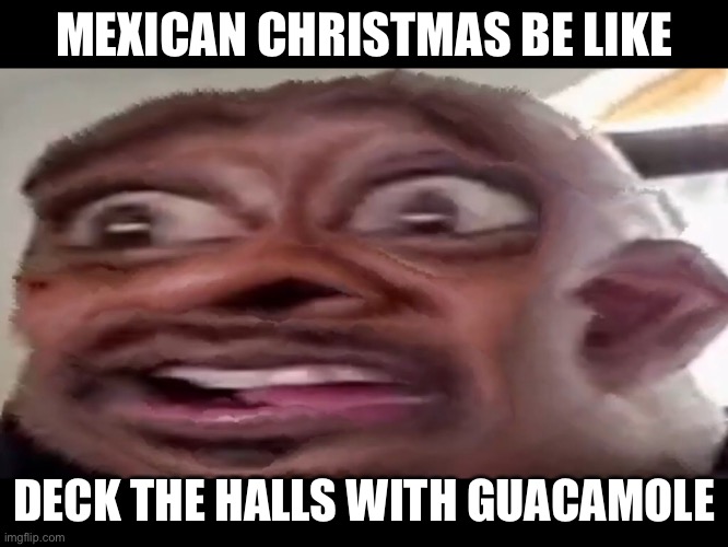 YeS | MEXICAN CHRISTMAS BE LIKE; DECK THE HALLS WITH GUACAMOLE | image tagged in guacamole | made w/ Imgflip meme maker