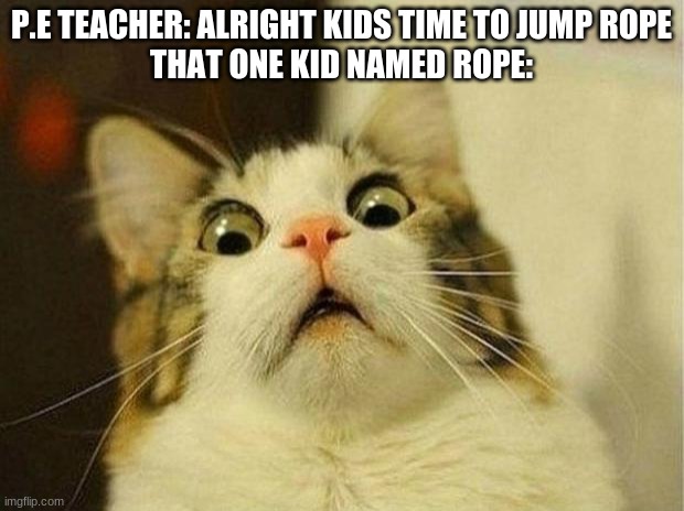 Scared Cat |  P.E TEACHER: ALRIGHT KIDS TIME TO JUMP ROPE
THAT ONE KID NAMED ROPE: | image tagged in memes,scared cat | made w/ Imgflip meme maker