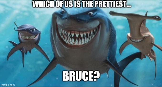 Who's the Prettiest? | WHICH OF US IS THE PRETTIEST... BRUCE? | image tagged in finding nemo sharks | made w/ Imgflip meme maker
