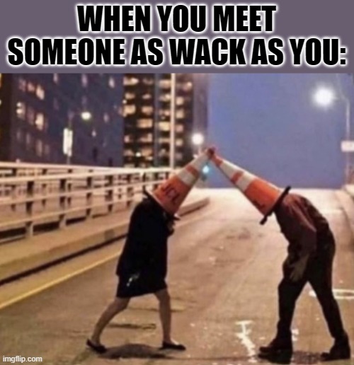 WHEN YOU MEET SOMEONE AS WACK AS YOU: | made w/ Imgflip meme maker