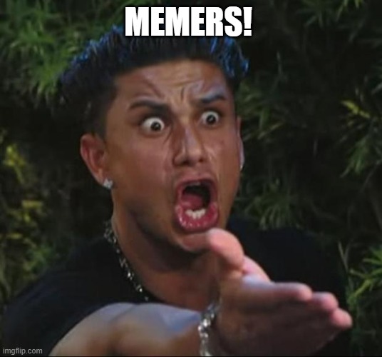 DJ Pauly D Meme | MEMERS! | image tagged in memes,dj pauly d | made w/ Imgflip meme maker
