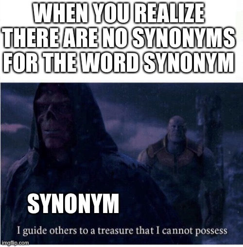 This is a meme | WHEN YOU REALIZE THERE ARE NO SYNONYMS FOR THE WORD SYNONYM; SYNONYM | image tagged in i guide others to a treasure i cannot possess | made w/ Imgflip meme maker