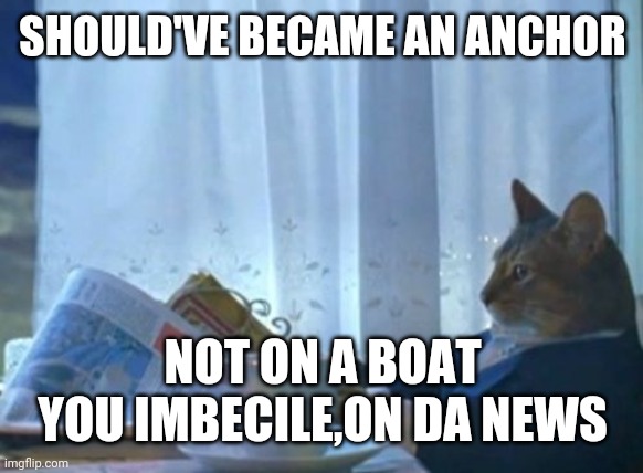 I Should Buy A Boat Cat Meme | SHOULD'VE BECAME AN ANCHOR; NOT ON A BOAT YOU IMBECILE,ON DA NEWS | image tagged in memes,i should buy a boat cat | made w/ Imgflip meme maker