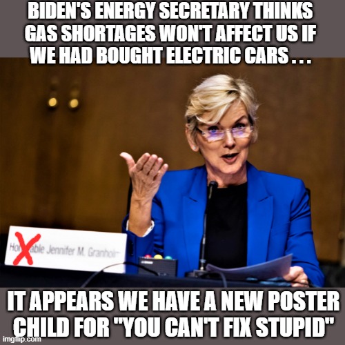 energy secretary | BIDEN'S ENERGY SECRETARY THINKS 
GAS SHORTAGES WON'T AFFECT US IF 
WE HAD BOUGHT ELECTRIC CARS . . . IT APPEARS WE HAVE A NEW POSTER
CHILD FOR "YOU CAN'T FIX STUPID" | image tagged in political meme,political humor,renewable energy,you can't fix stupid,gas station,electric cars | made w/ Imgflip meme maker