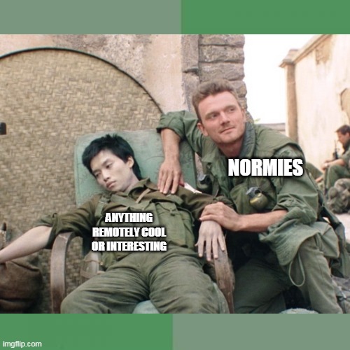 The Mainstream | NORMIES; ANYTHING REMOTELY COOL OR INTERESTING | image tagged in full metal jacket,dead people,war,death,metal | made w/ Imgflip meme maker
