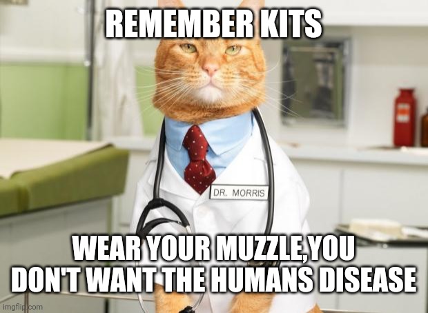 Cat Doctor |  REMEMBER KITS; WEAR YOUR MUZZLE,YOU DON'T WANT THE HUMANS DISEASE | image tagged in cat doctor | made w/ Imgflip meme maker
