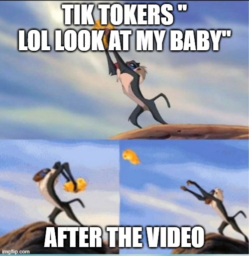 yeet this to the front page | TIK TOKERS " LOL LOOK AT MY BABY"; AFTER THE VIDEO | image tagged in lion being yeeted | made w/ Imgflip meme maker