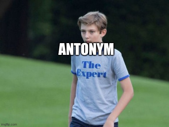 The Expert | ANTONYM | image tagged in the expert | made w/ Imgflip meme maker