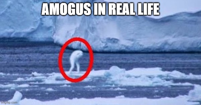 AMOGUS | AMOGUS IN REAL LIFE | image tagged in amogu,sus,among us | made w/ Imgflip meme maker