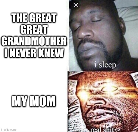 i sleep real shit | THE GREAT GREAT GRANDMOTHER I NEVER KNEW; MY MOM | image tagged in i sleep real shit | made w/ Imgflip meme maker