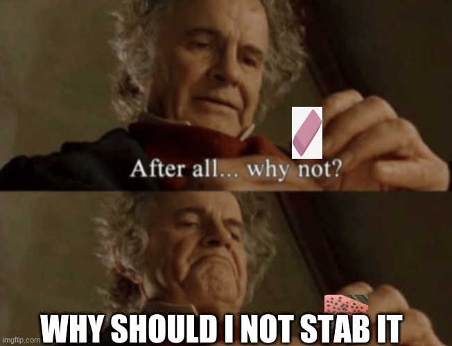 After all.. why not? | WHY SHOULD I NOT STAB IT | image tagged in after all why not | made w/ Imgflip meme maker